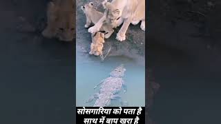 Kyesi halt hai meri aa tujhe Mai btao  trending viralvideo youtubeshorts animals [upl. by Bolitho329]