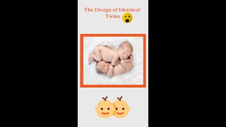 The Design of Identical Twins 🥰 How Twins Are Formed 😲 shorts [upl. by Eliot]