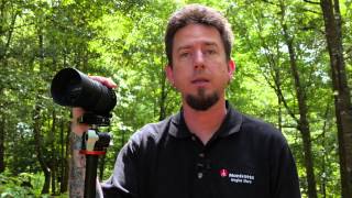 Get Sharp Shots with the Panasonic LUMIX 100300mm f456 G MFT Lens [upl. by Bullock]