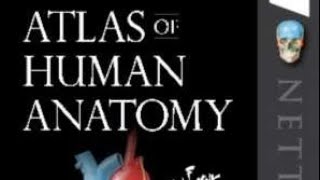 Netters Atlas Of Human Anatomy  REVIEW OF THE BOOK  2019 [upl. by Navac]