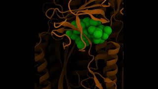 Phage DisplayBased Gene Delivery A Viable Platform for COVID19 Vaccine Design amp Development [upl. by Aurelea]