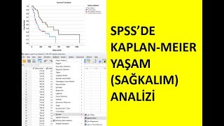 KAPLANMEIER YAŞAM SAĞKALIM ANALİZİ [upl. by Airbmak457]