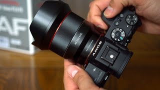 Samyang AF 14mm f28 FE lens review with samples Fullframe amp APSC [upl. by Vanya811]