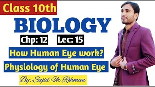 How Human Eye work  Physiology of Human Eye  Mechanism of Vision  10th Bio Chp 12 Lec 15 [upl. by Nitsirhc806]