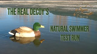 The Real Decoy Natural Swimmer Test Run [upl. by Luas]