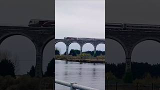 BelfastDublin Train train dublin belfast irishrail viaduct drogheda tren locomotive shorts [upl. by Mathia102]