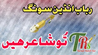 Tu Shayar Hain Indian Song RababPashto Rabab Mange [upl. by Marelda]