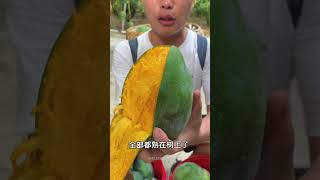 Satisfying fresh fruit mango apple fruit shorts [upl. by Joselyn]