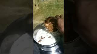 Pithe viralvideo food youtubeshorts [upl. by Ahsaenat]