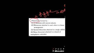 Cell unit of life ❤️💚 shorts  polyribosomes cell 👍👍 [upl. by Bernardina]