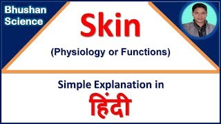 Functions of skin  Integumentary System Simple explanation in Hindi  Bhushan Science [upl. by Anires575]