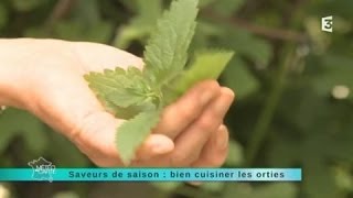 Saveur de saison  les orties [upl. by Daht]