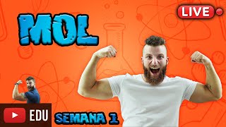 LIVE  MOL  O QUE É ISSO  SEMANA 1 [upl. by Kristie811]