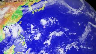 The 2022 typhoon season in the western North Pacific [upl. by Salocin268]