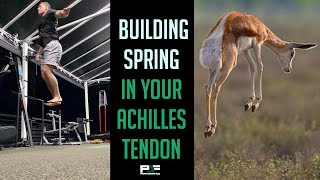 How I Turned My Achilles Tendon Into a SPRING Like a Gazelle [upl. by Al]