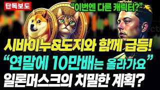 시바이누 도지코인 과 함께 이 코인 연말에 10만배 오릅니다 일론머스크 스페이스X 화성 코인 투자법 비트코인 베이비도지코인 리플코인 도지코인 [upl. by Nilyad896]