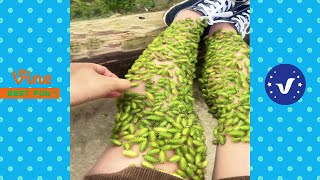 Funny amp Hilarious Video Peoples Happy Life 57 😂 Try Not To Laugh Funny Videos 2024 [upl. by Alina]