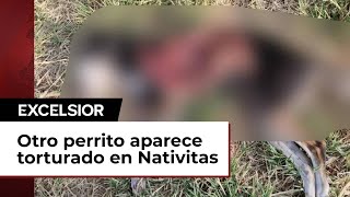 Aparece nuevo perrito desollado en Bosque de Nativitas en Xochimilco [upl. by Chirlin327]