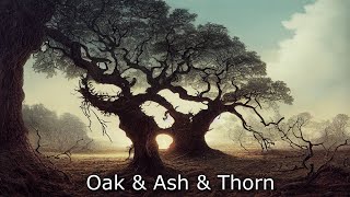 The Longest Johns  Oak amp Ash amp Thorn but with AIgenerated images for each lyric [upl. by Aliahs]