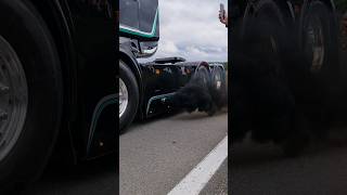 Ciney truck show 2024  Trucks leaving V8 Scania Airhorns trucking [upl. by Okemak]