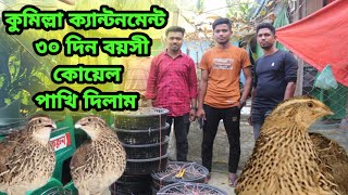 কুমিল্লায় কোয়েল পাখি দিলাম🐦🐦🦜🦜  কুমিল্লা কোয়েল খামার  01313679929 [upl. by Eseilana169]