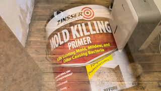 Zinsser Mold Killing Primer [upl. by Renelle]