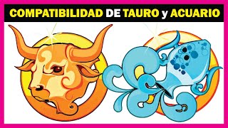 Compatibilidad entre TAURO y ACUARIO ♉♒ [upl. by Diantha36]