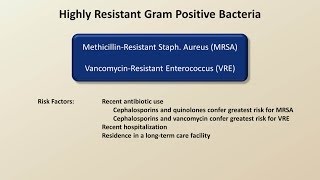 Antibiotics for Gram Positive Infections Antibiotics  Lecture 4 [upl. by Opiak]