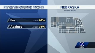 Voters decide on ballot initiatives including abortion and medical marijuana [upl. by Pepillo]