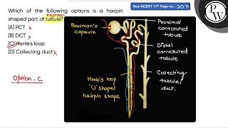 Which of the following options is a hairpin shaped part of tubule [upl. by Nochur]