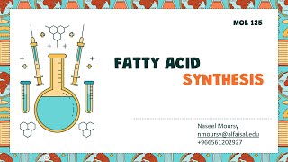 Fatty Acid amp Triacylglycerol Synthesis  Naseel Moursy  MOL 125 PAL Review Session [upl. by Muraida]