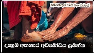 දැනුම අතහැර අවබෝධය ලබන්නMaharahathun Wedi Maga Osse [upl. by Dibb]