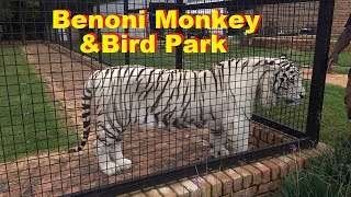 Surprisingly We found Benoni Monkey and Bird Park in Benoni with TIGERS [upl. by Aihsit]