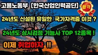 2024년도 신설된 유일한 국가기술자격증 및 상시검정 기능사 TOP 12개 종목 [upl. by Aidroc118]