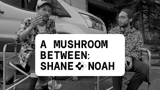 A Mushroom Between  Shane Schoolman amp Noah Cawthon [upl. by Hein]