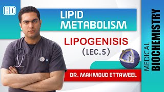 Lipid Met  lec5  FA synthesis amp Lipogenesis [upl. by Eceirehs]