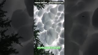 MAMMATUS CLOUDS facts viralshort [upl. by Iahs]