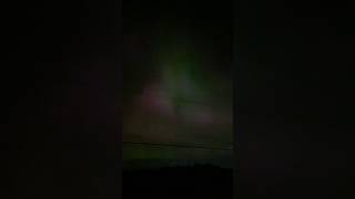 the sky was dancing outside Toronto tonight northernlights aurora [upl. by Yhtomiht]