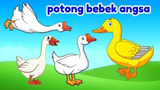 potong bebek angsa  lagu anak  lagu anak indonesia balita bontotkidschannel [upl. by Erasmo]