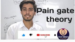 pain gate theory in electrotherapy pain gate theory in urdu and hindi concept of pain gate theory [upl. by Altheta]