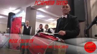 Formatia TREND  SARBE CA LA NORD  Clip 112017 [upl. by Nabroc490]