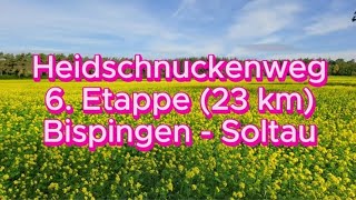 Heidschnuckenweg 6 Etappe 23 km Bispingen  Soltau [upl. by Atinrev]