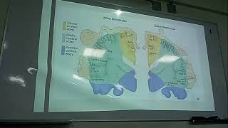 FISIOLOGIA FISIOPATOLOGIA FASE 2 PRACTICA 1 Y 2 [upl. by Ondine]