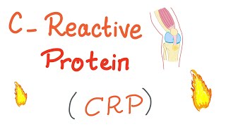 CReactive Protein CRP  Inflammation  Acute phase reactant [upl. by Klein396]