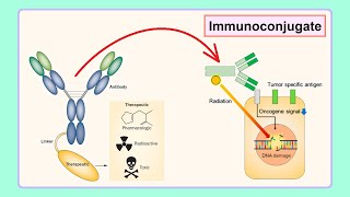 immunoconjugate [upl. by Karia]