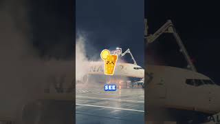 Understanding Airplane Deicing Fluid aviation airplane facts [upl. by Nettirb]