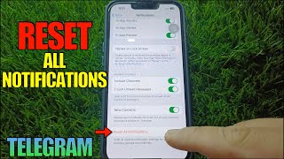 How to Reset All Notifications on Telegram [upl. by Colbye]