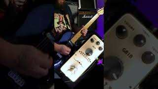 Quick Jam On An iSet Dumbler Pedal [upl. by Neiviv779]