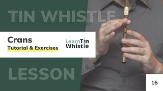 Tin Whistle Crans Ornament  Tutorial amp Exercises [upl. by Accisej]