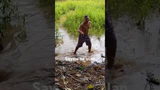 Rice field dance challenge [upl. by Yklam]